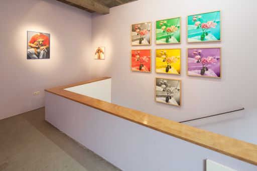 Vista de la exposición "Amores". 2011