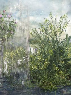 Alegría en el jardín 4. Fotografía color (Ed. 3). 41x55 cm. 2011